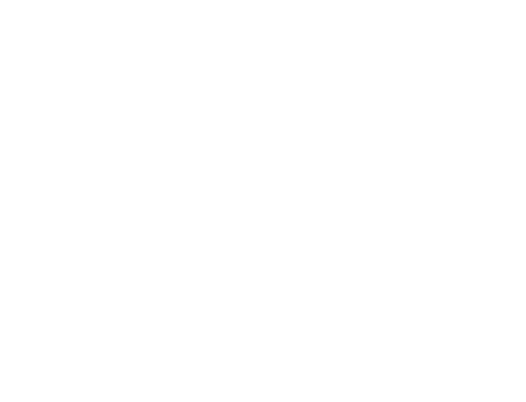 Emmy nominated Show